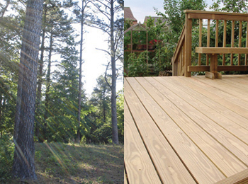 Deckor Timber